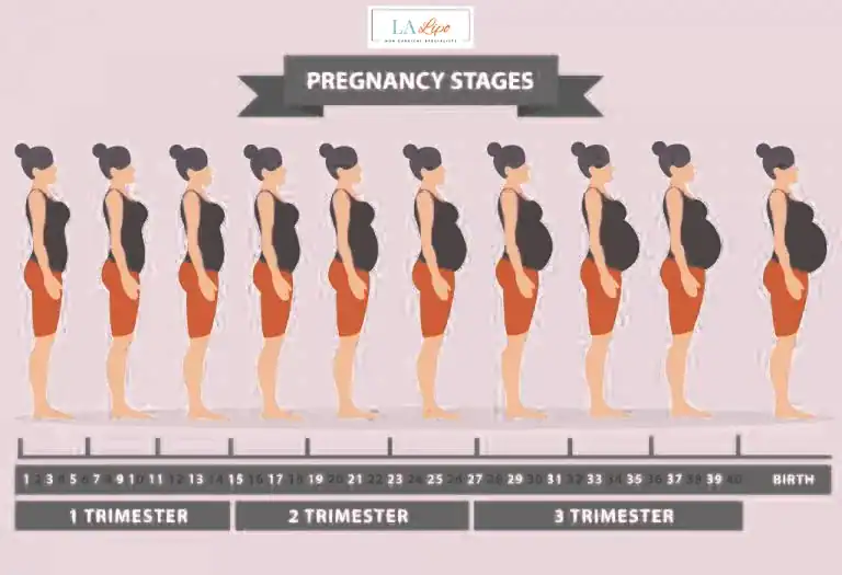 First Trimester (Weeks 1–12): Early Changes You Might Not Notice Kingston upon Thames